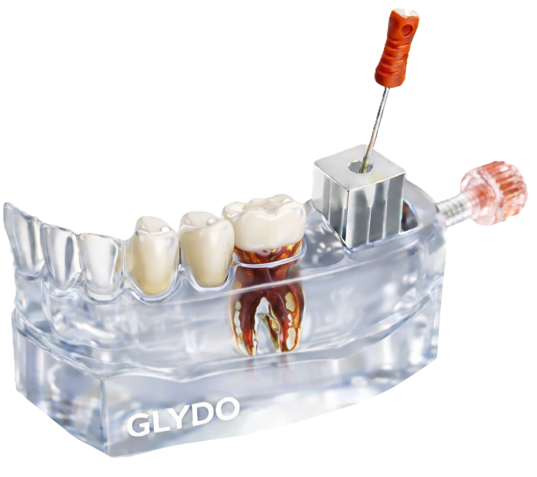 Glydo Training Model